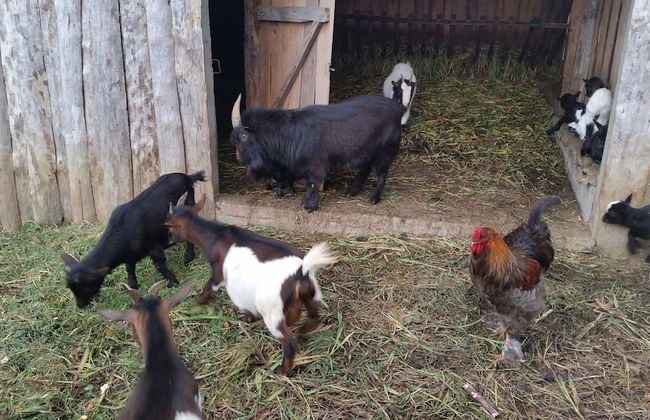 Casa Valxisto Country House - Foto 63