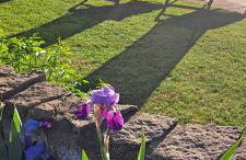 Alto do Sobreiro - Foto 8