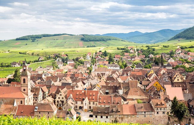 Elsässische Weinstraße Halbtagestour in kleiner Gruppe mit Verkostung ab Straßburg - Foto 7