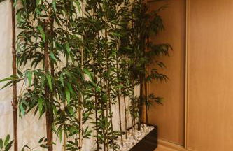 PRIME PARQUE RESIDENCE - Foto 21