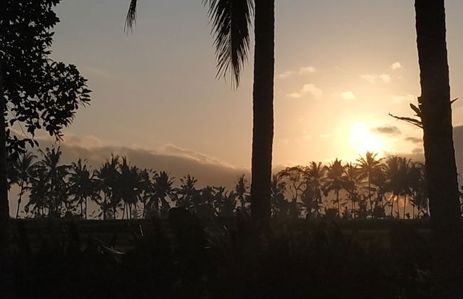 Anggira Villa Ubud - Photo 55