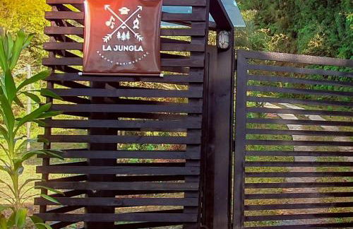 Propriedade inteira e Kombi-home em meio à mata - Foto 12