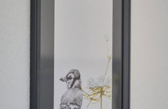 Greenhome Lörrach -Ihre Apartments im 3-Ländereck- - Foto 11