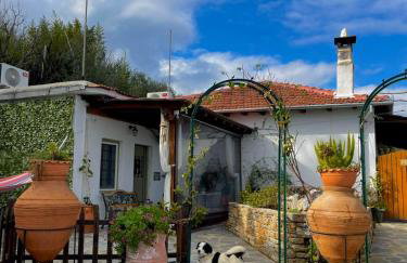 To giataki tou pappou - Foto 28