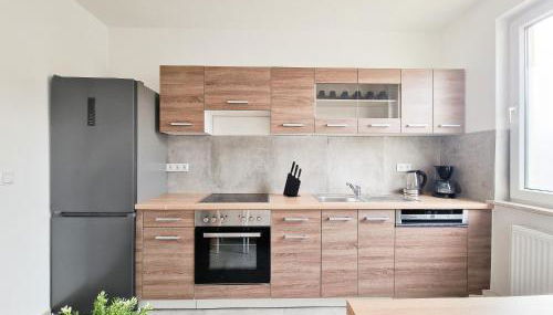 Tolstov Apartments - 4 Zimmer Wohnungen - 25 Min zur Messe DUS - Foto 3, stove, dishwasher