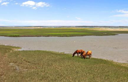 Creek Watch home - Foto 57