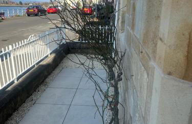 Bay View Cottage - Foto 34