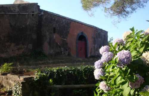 Villa Iolanda-Sive Natura Wine&House - Foto 31