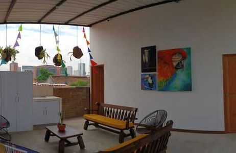 parrot house san antonio - Photo 12