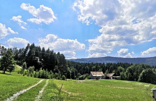 Siedlisko Podjaworzem - Photo 1