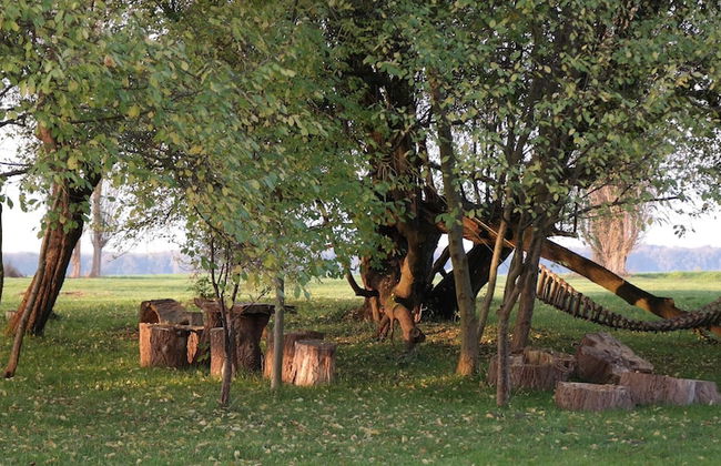 Spacious Apartment in Boddin With Garden - Photo 59