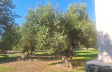 Sea view villa Manolis with private pool near the beach - Foto 26