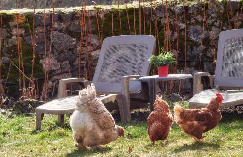 El Mirador de Babia - Photo 19