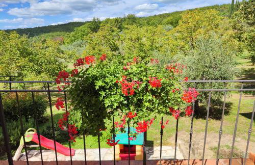 Agriturismo Sommassa - Foto 34