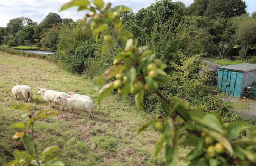 Llety'r Bugail 1 - Photo 20