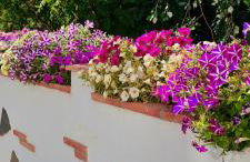 Preciosa casa de pueblo entre Ronda y Setenil La Posada de Catalina - Foto 47