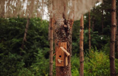 Iglasta chata - Foto 32