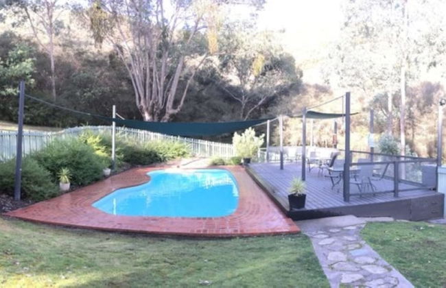 The Black Sparrow - Photo 59