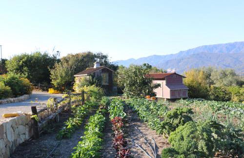 Bella Vista by Paradise Retreats - Foto 38