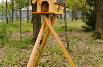 Zawilcowa Dolina - Foto 46