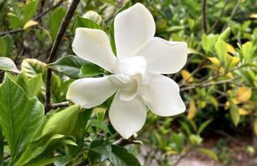 Walk to Bay Street and Historic Downtown Beaufort! Close to Parris Island MCRD!! - Photo 15