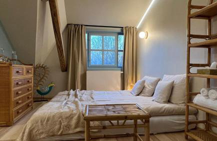 Turkusowa Wyspa - Foto 72