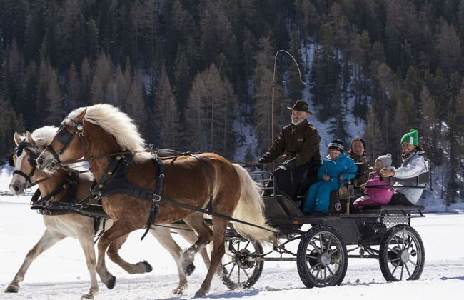 Talissa at Organic & Riding Stables of Veitenhof - Foto 21