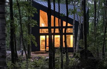 Distinctly modern cabin on quiet Northwoods lake - Foto 1
