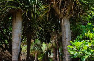 Galguen Paradise in the island of stars. Villa. - Foto 60