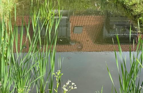 Ferienwohnung Bertchen - barrierefrei mit Südterrasse und Carport in ruhiger Altstadtlage von Ballenstedt - Foto 23