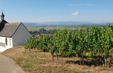 locations Spa chez corinne et gilles - Foto 31