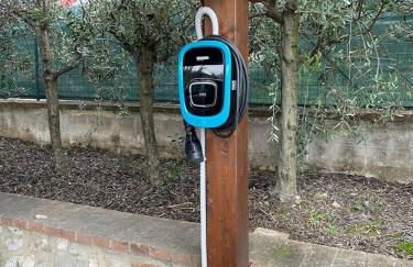 La Folaga del Trasimeno - Photo 20