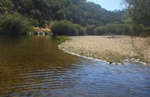 Couto dos Pardinhos - Foto 22