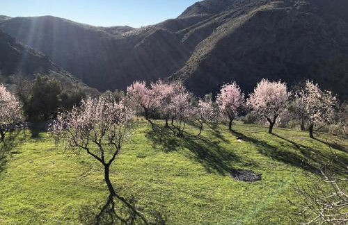 Casa Carmela, rural house with spectacular views, in an exquisite area - Foto 16