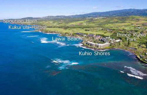 Kuhio Shores 416 - Foto 23
