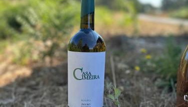 Quinta da Casa Cimeira, Guest House, Wines & Food - Foto 3