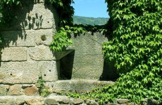 Quinta De Guimaraes - Foto 30