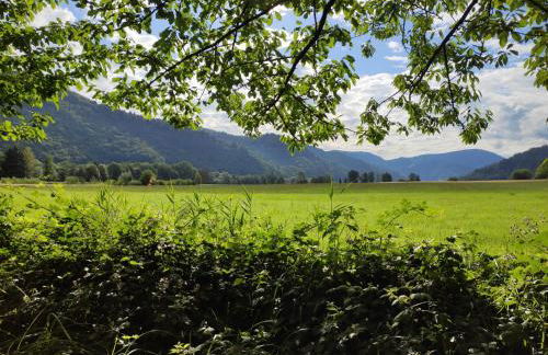 Ferienwohnung Belchenblick - Foto 28
