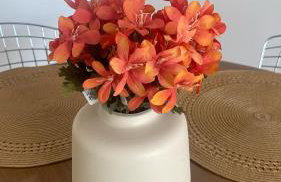 Aconchego e localização, a 10 minutos de CAMINHADA da praia e a 26 minutos de carro do RIR26, com vaga de garagem e 2 banheiros para maior conforto dos nossos hóspedes - Foto 41