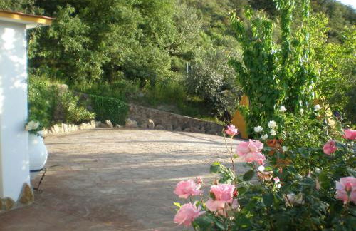 Puente Piedra - Foto 37