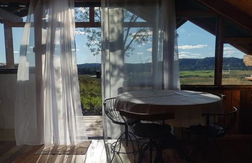 Na'raucária - Foto 1