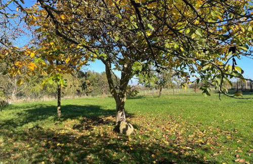 "Haus Landgang" für Naturliebhaber, strandnah, ruhig, mit großem Garten - Foto 55