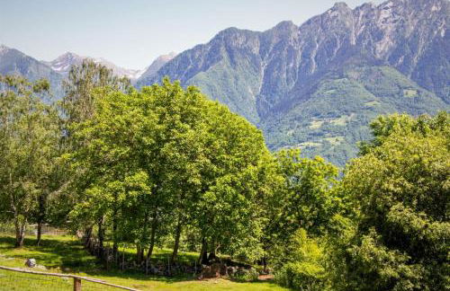 Borgo Selvapiana - Photo 12