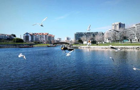 Moradia entre o Mar e a Ria - Foto 53