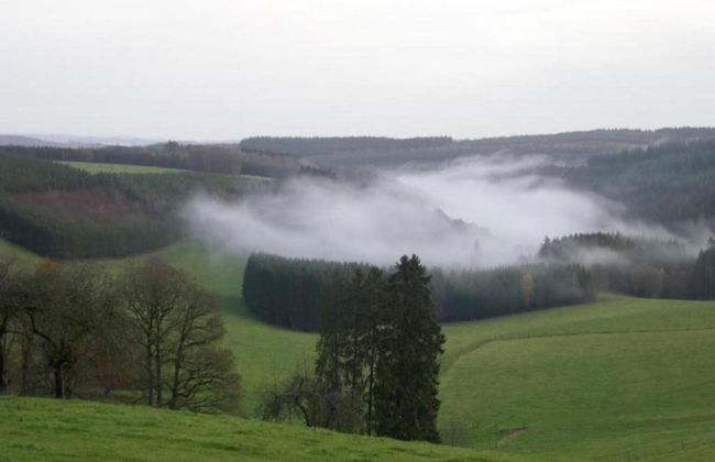 Green Hillside Apartment-petit Wilogne - Photo 34