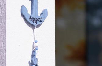 Acapus Studios - Foto 30