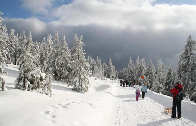 Luxurioser Wellnessaufenthalt in Elend - Foto 35