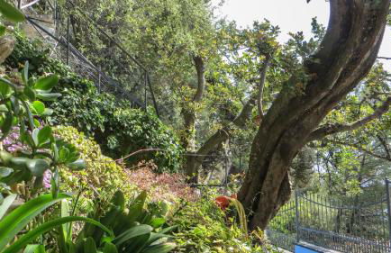 Ca dell'acciuga - Foto 30