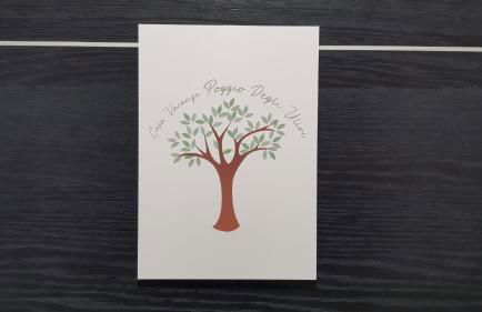 Poggio degli Ulivi - Foto 39