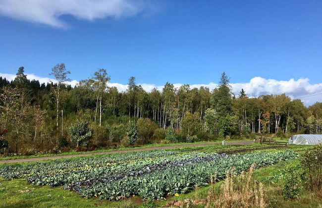 4 Person Holiday Home in Hokerum-by Traum - Photo 10